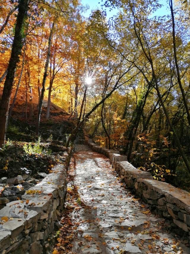 The “Green Eco Trail”