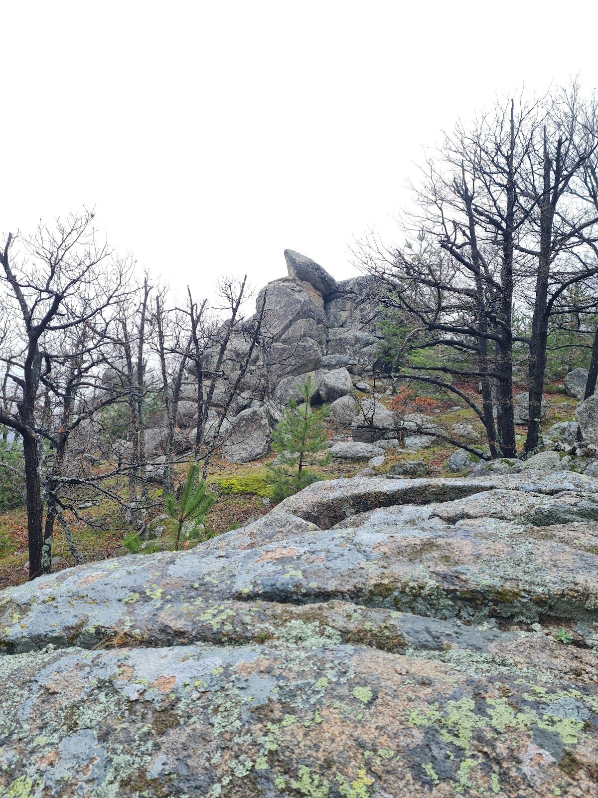 Kamenna Mogila