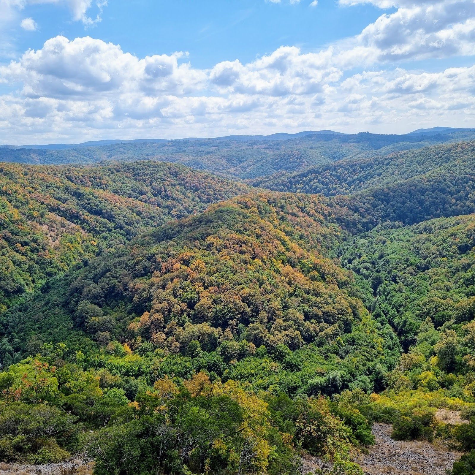 Strandzha Nature Park