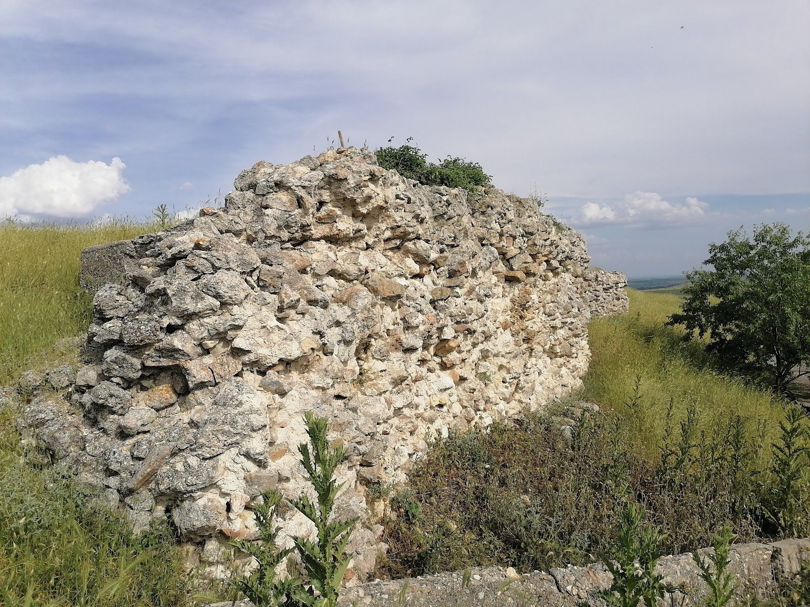 Scutarium Fortress