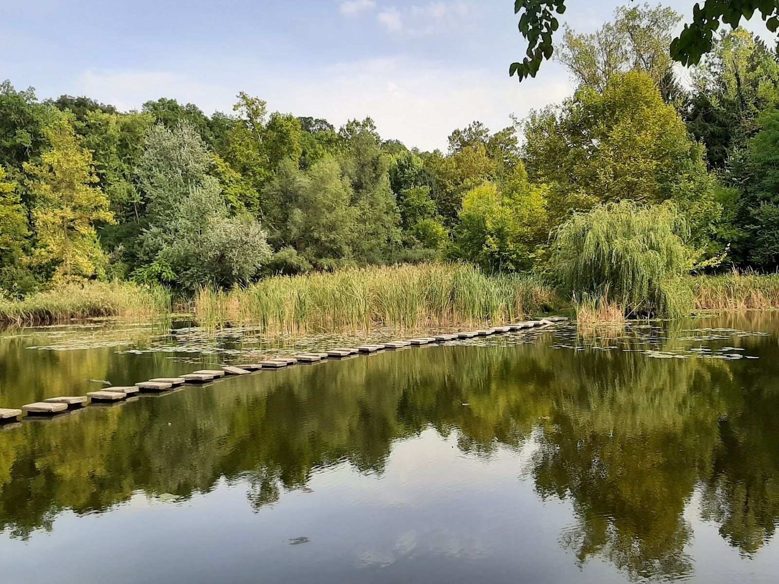 Lipnik Forest Park