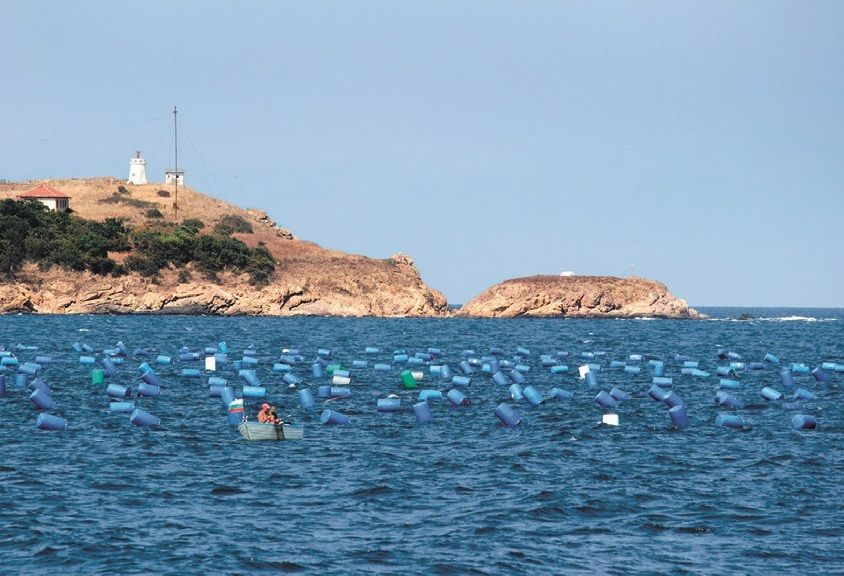 St. Peter Island