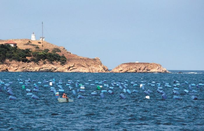 St. Peter Island – photo 4