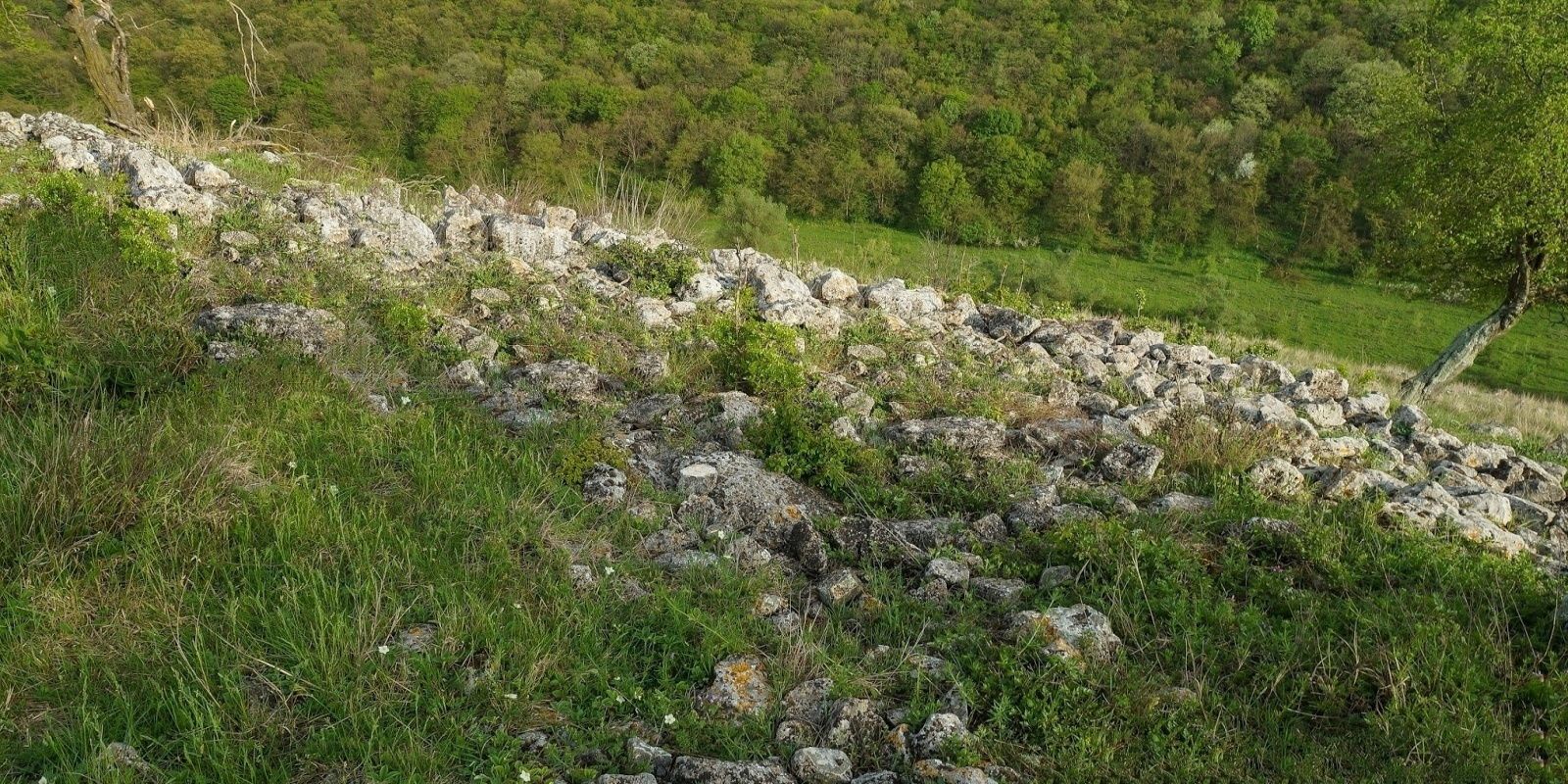 Byalata Stena Fortress