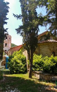 Muldava Monastery “St. Petka of Moldavia”