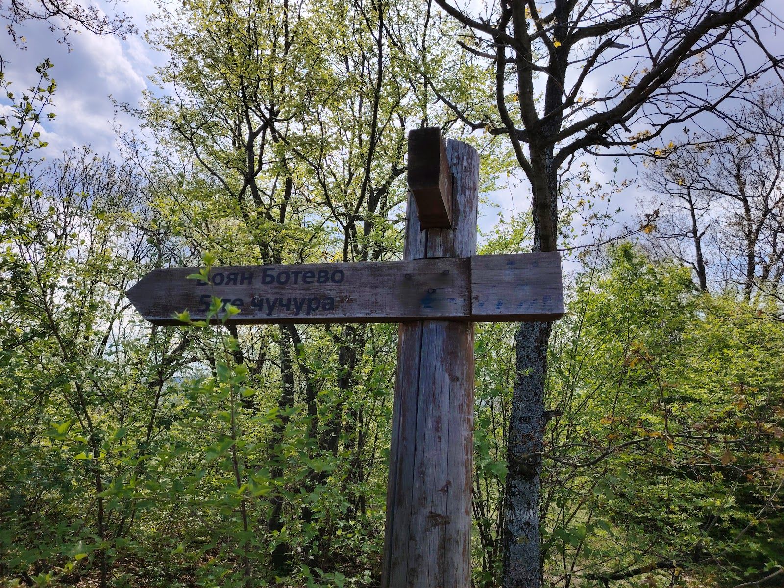 Aikaas – Gradishteto – Sarnitsa Eco Trail