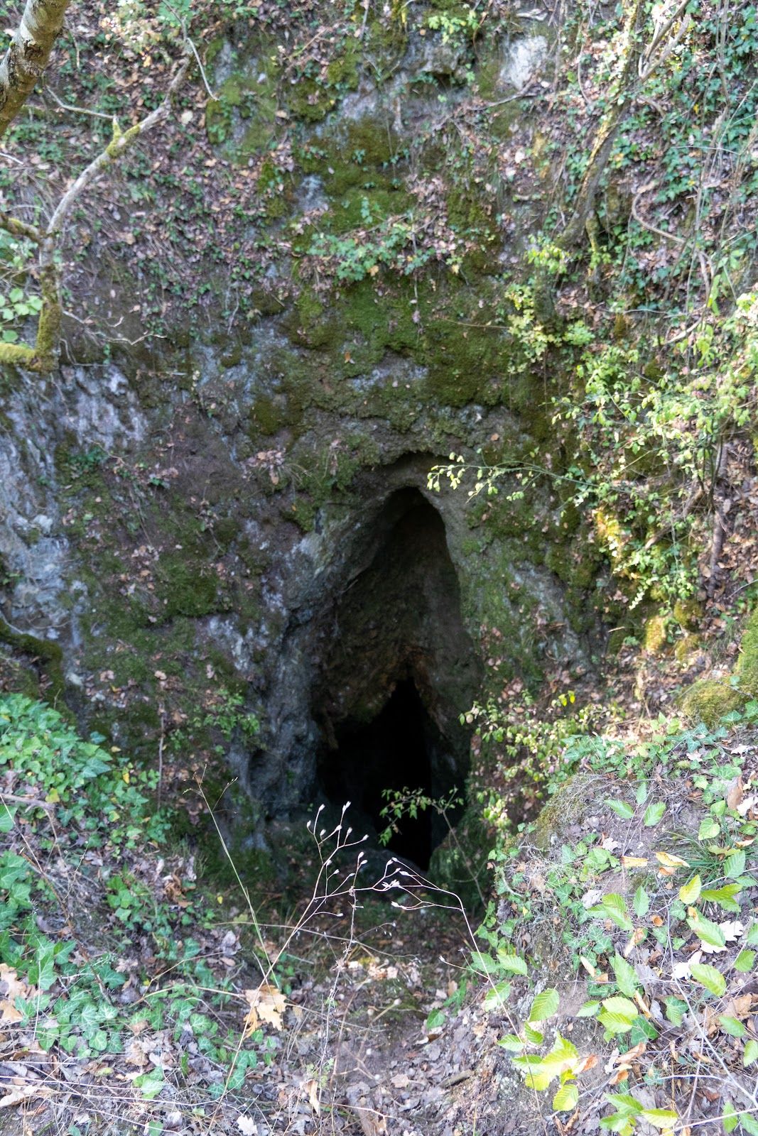 Dranchi Dupka natural site