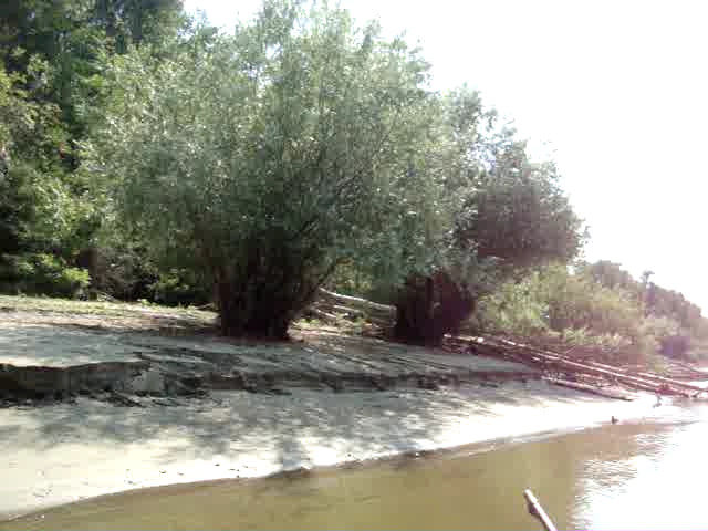 Batin Island