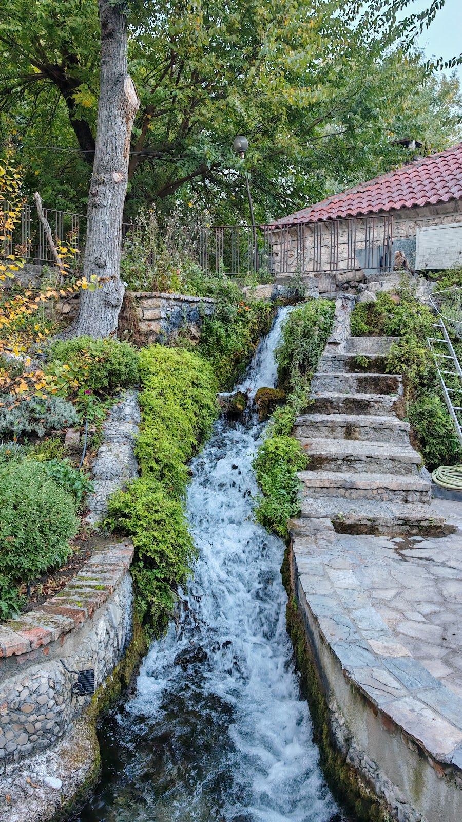 Devnya springs