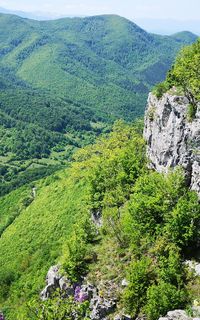 Gorna Bela Rechka village
