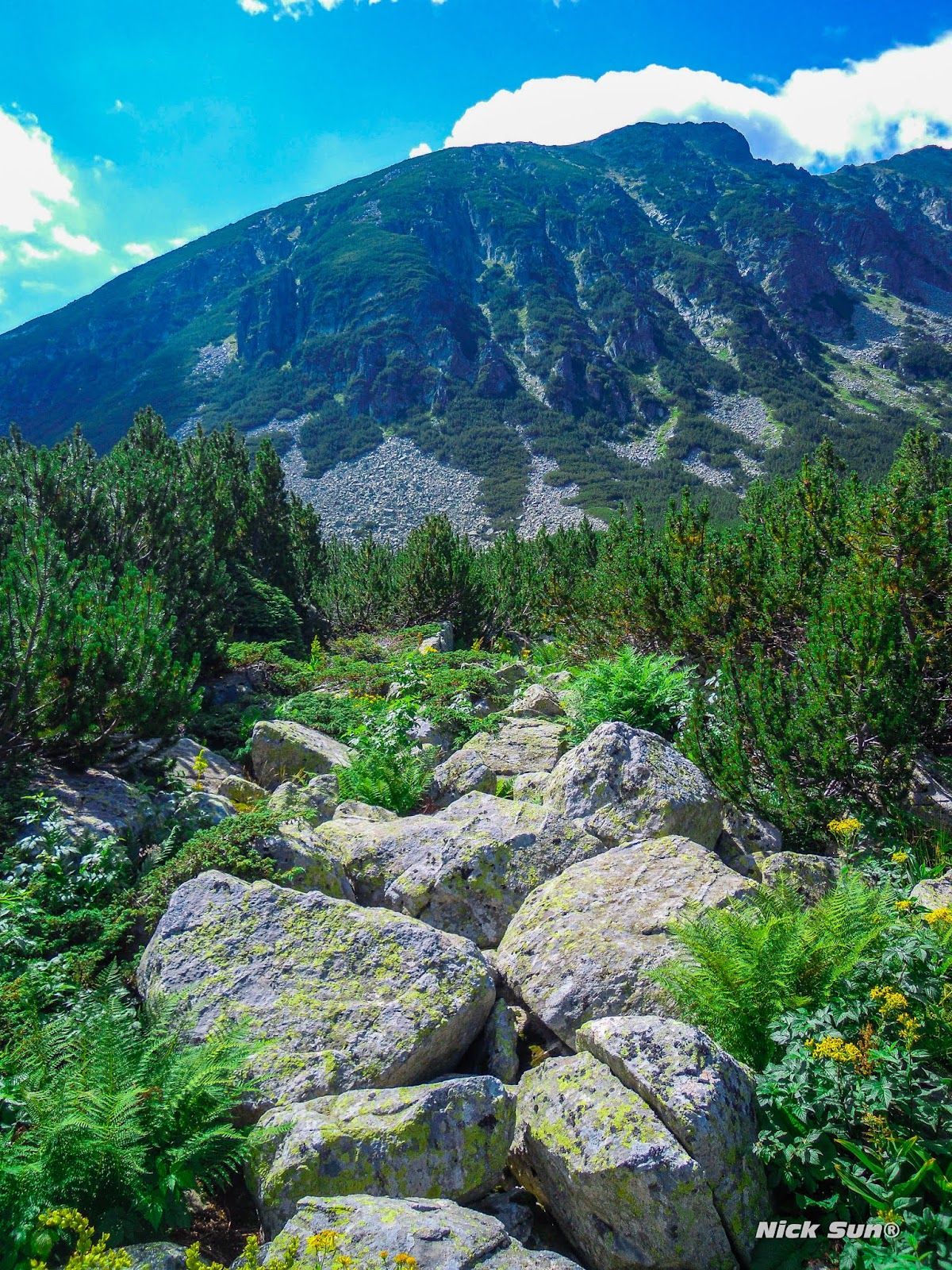 Uzunbudzhak Reserve (Lopushna)