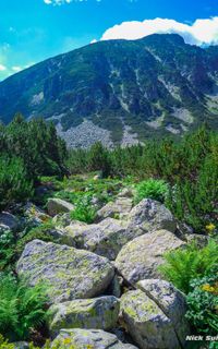 Uzunbudzhak Reserve (Lopushna)