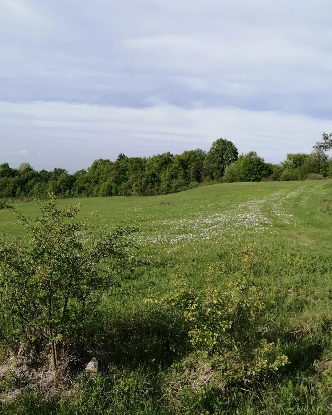 Ravnishta Eco Trail