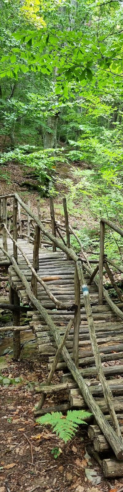 Weekend escapes from Burgas: ecotrails