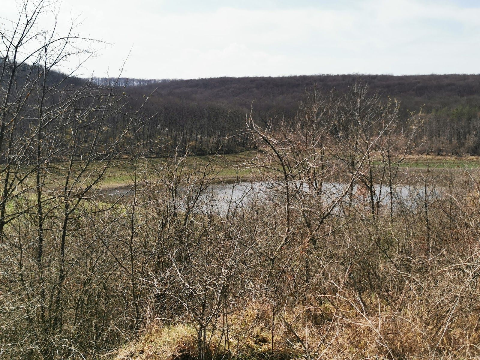 Zdravets Dam