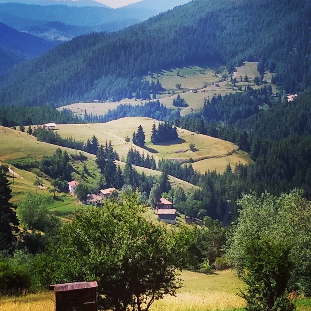 Ortsevo village