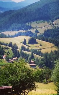Село Орцево