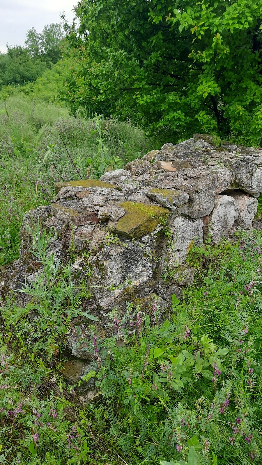 Basilicas in the Karasura area