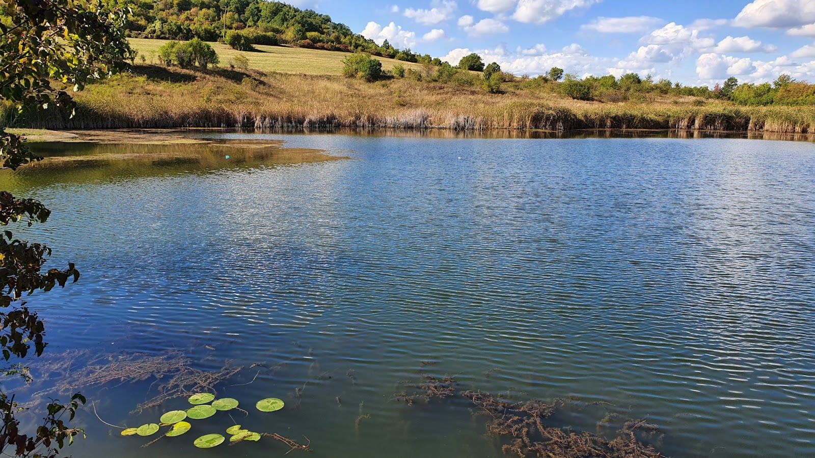 Preletya Dam