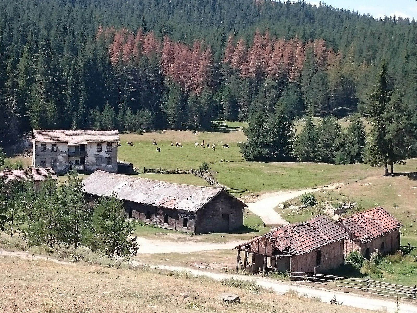 Ruseva Polyana / Gatera
