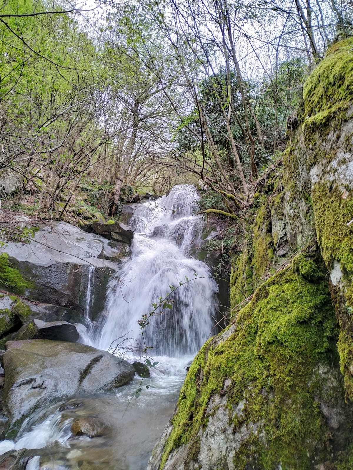 Delchevo Waterfall