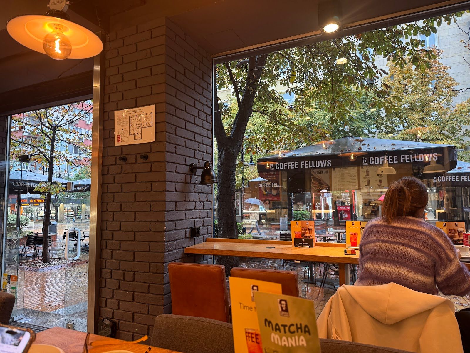 Coffee Fellows Vitosha – снимка 5