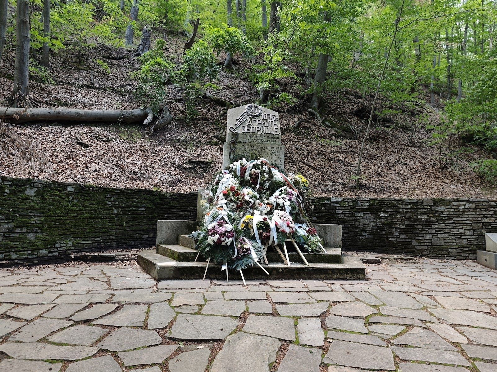 Historical site of Oborishte