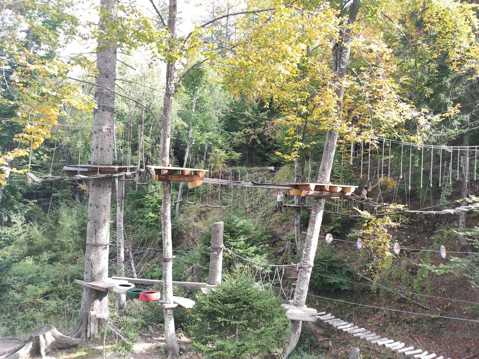 Amzovo Park – photo 1