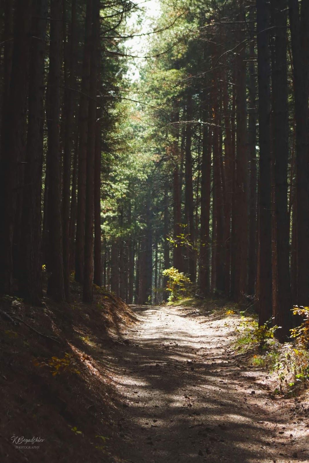 Balsha Eco-trail