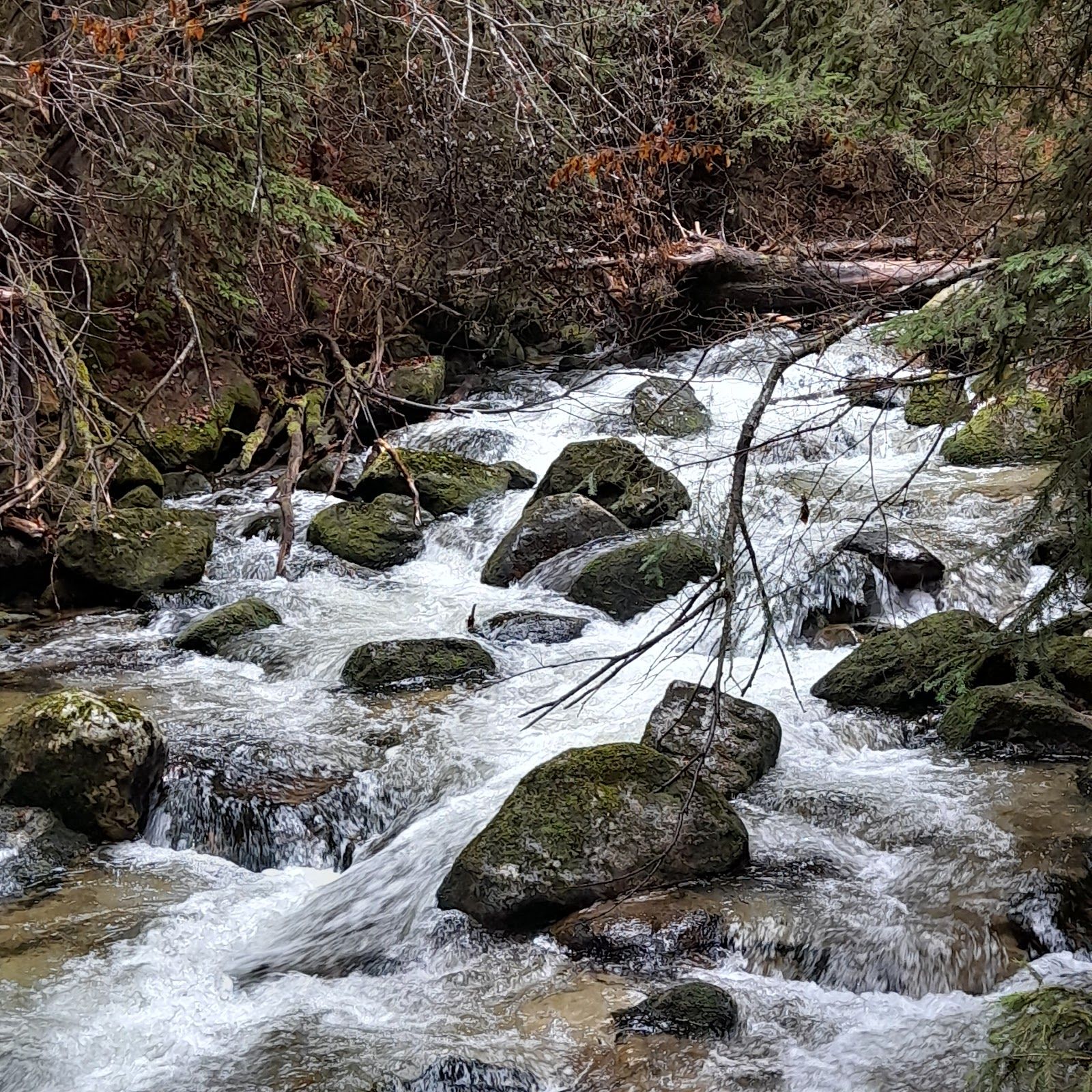 Parangalitsa Reserve