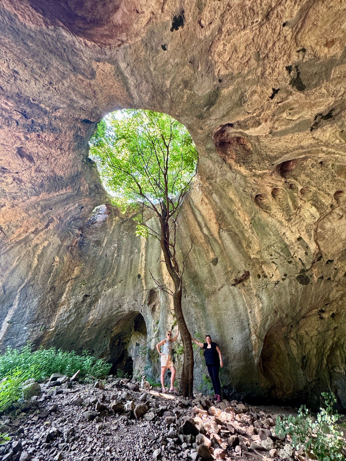The Tree Cave of Botunya