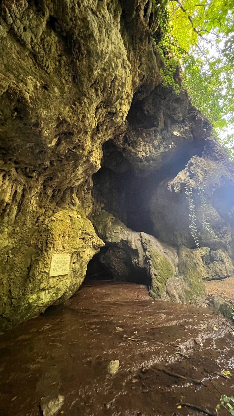 Benkovskata peshtera Cave