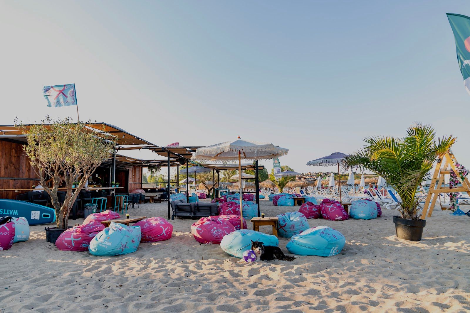 XAOC Beach Bar
