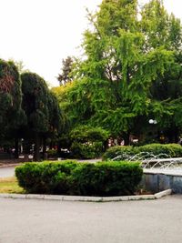 5th October Park