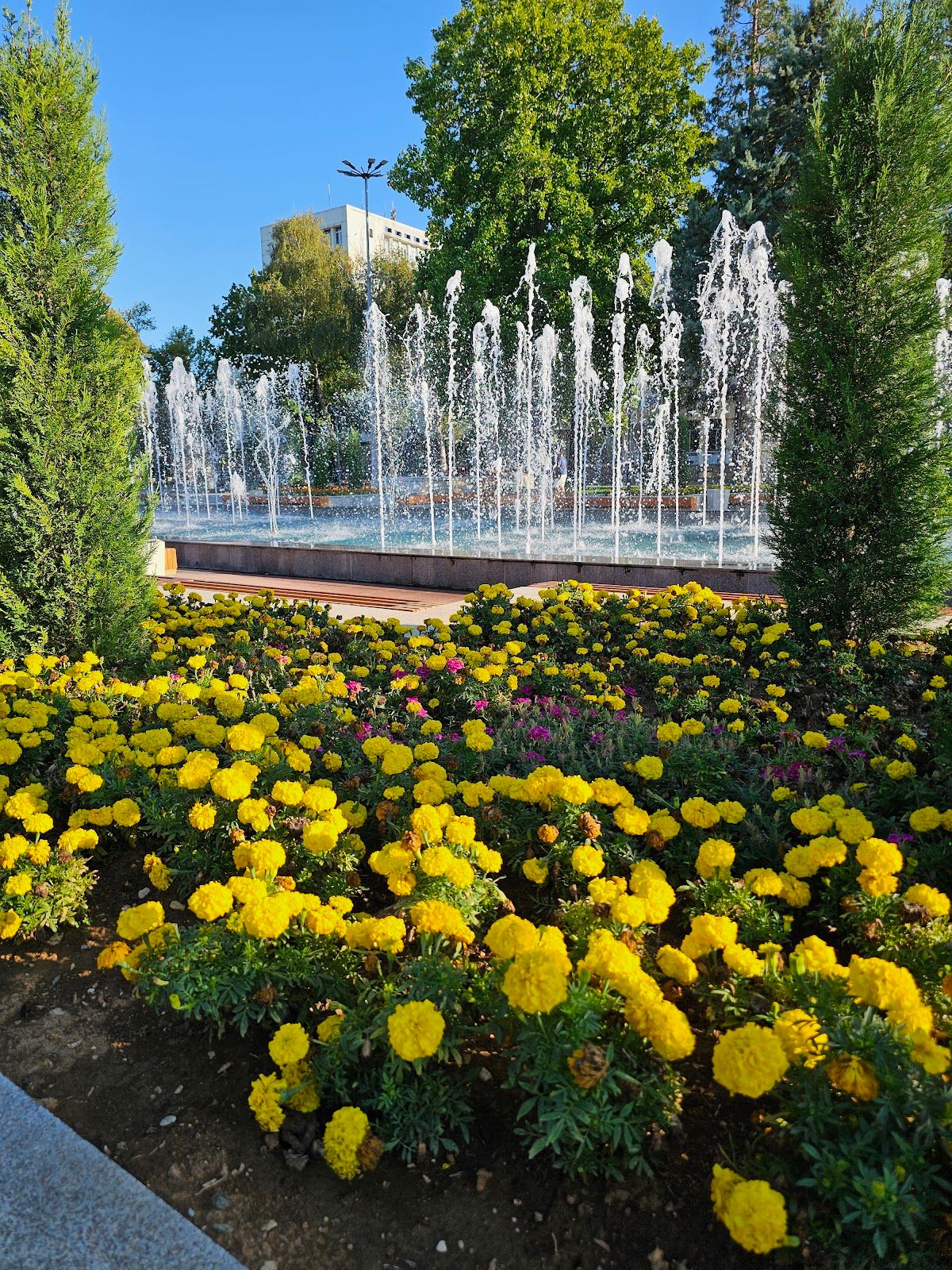 Fountains on Jeravitsa (Craness) Square – photo 3