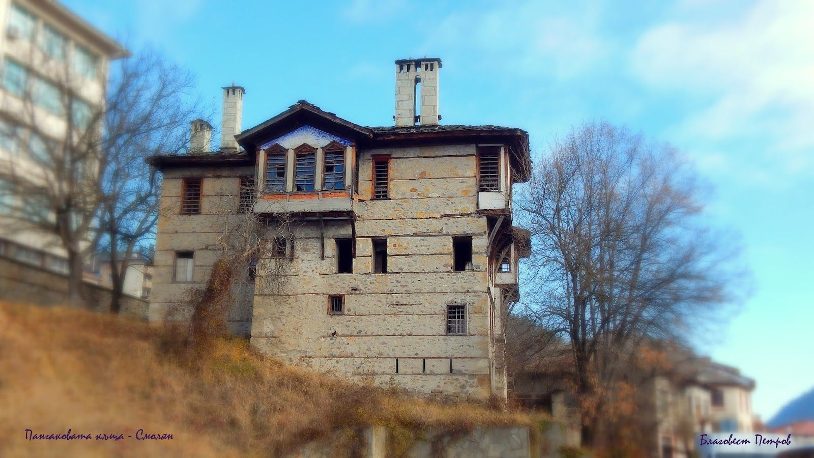Pangalova House – photo 4