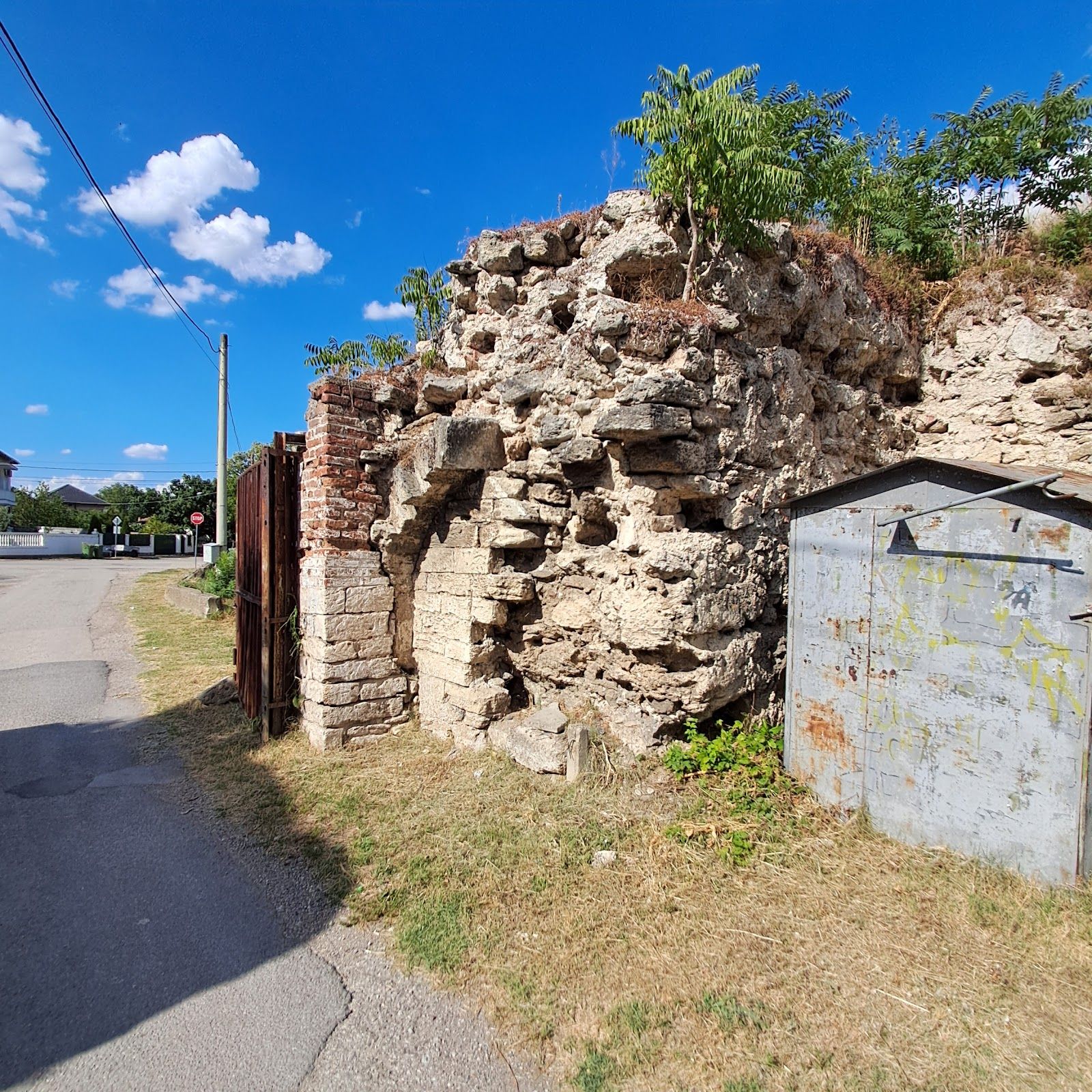Florentin Kapia – photo 4