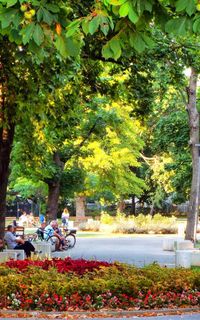 Montana City Park