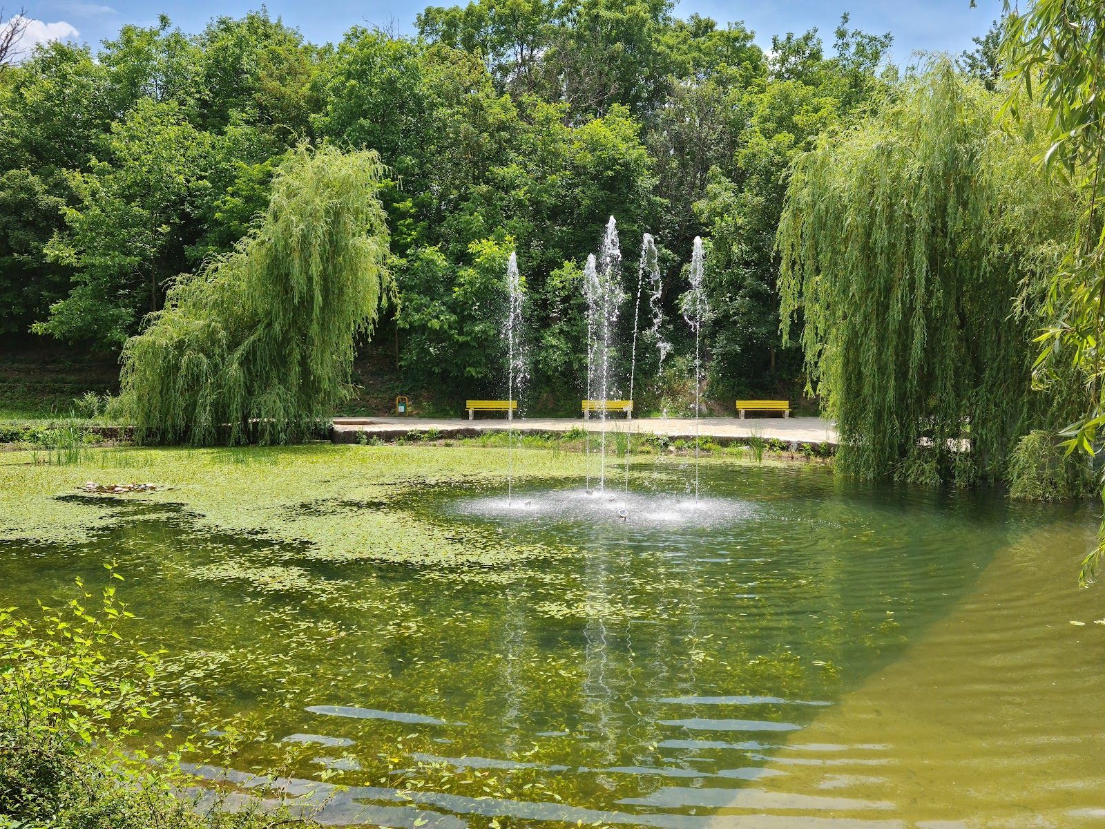 Lake "Borovo Oko" – photo 2