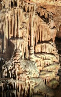 Saeva Dupka Cave