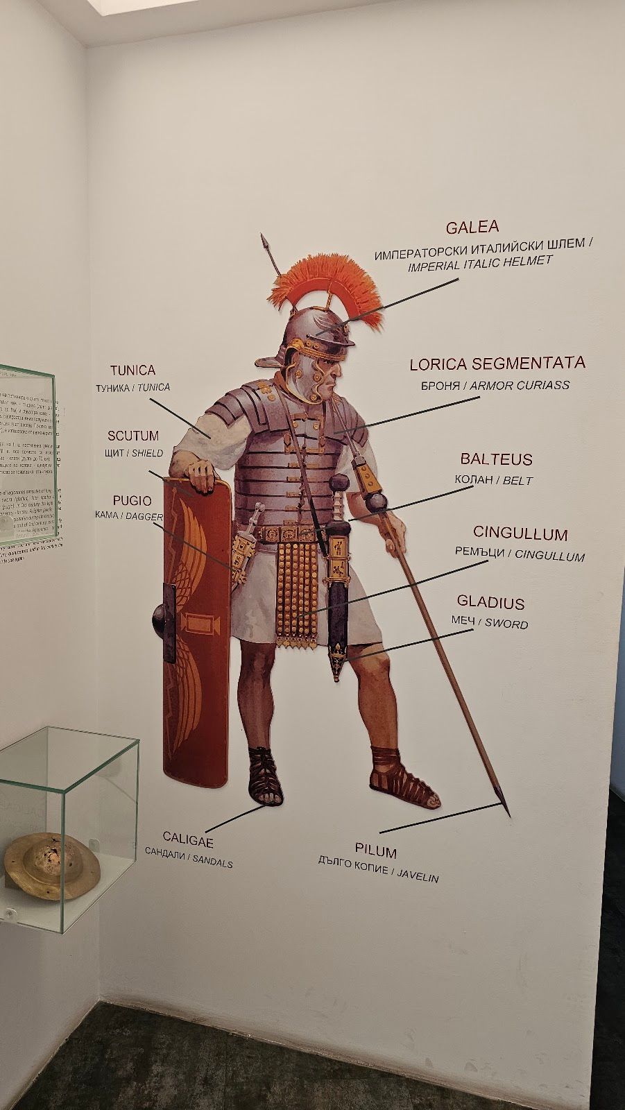 Interactive Museum Abritus