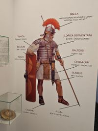 Interactive Museum Abritus