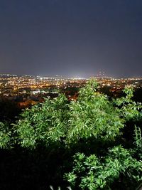 Leventa Viewpoint