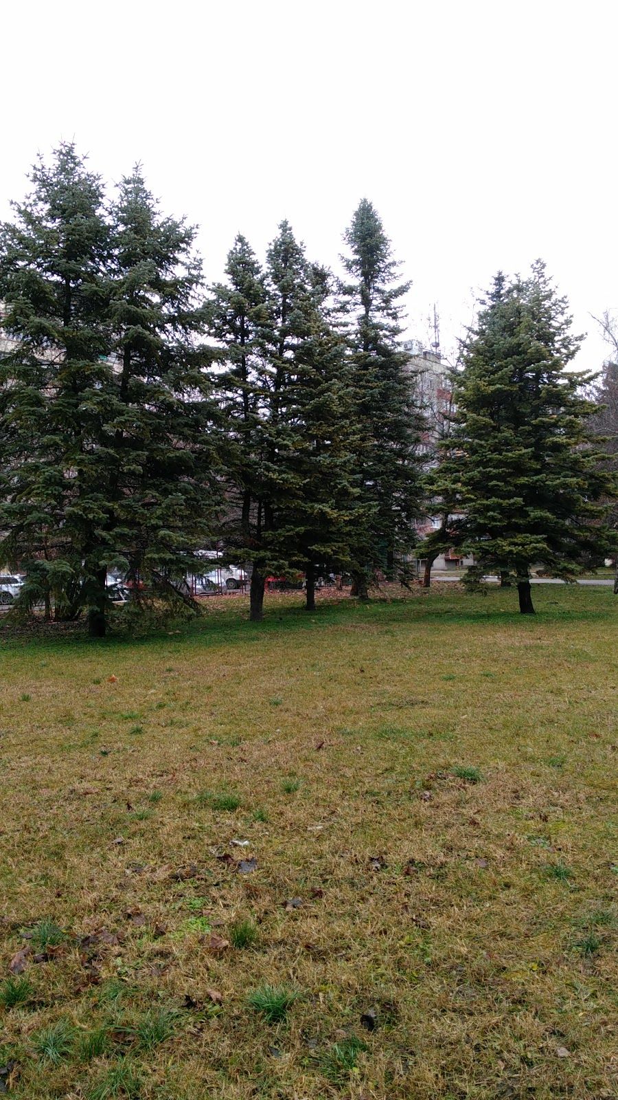 Park of the Revivalists – photo 2