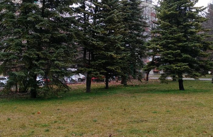 Park of the Revivalists – photo 2