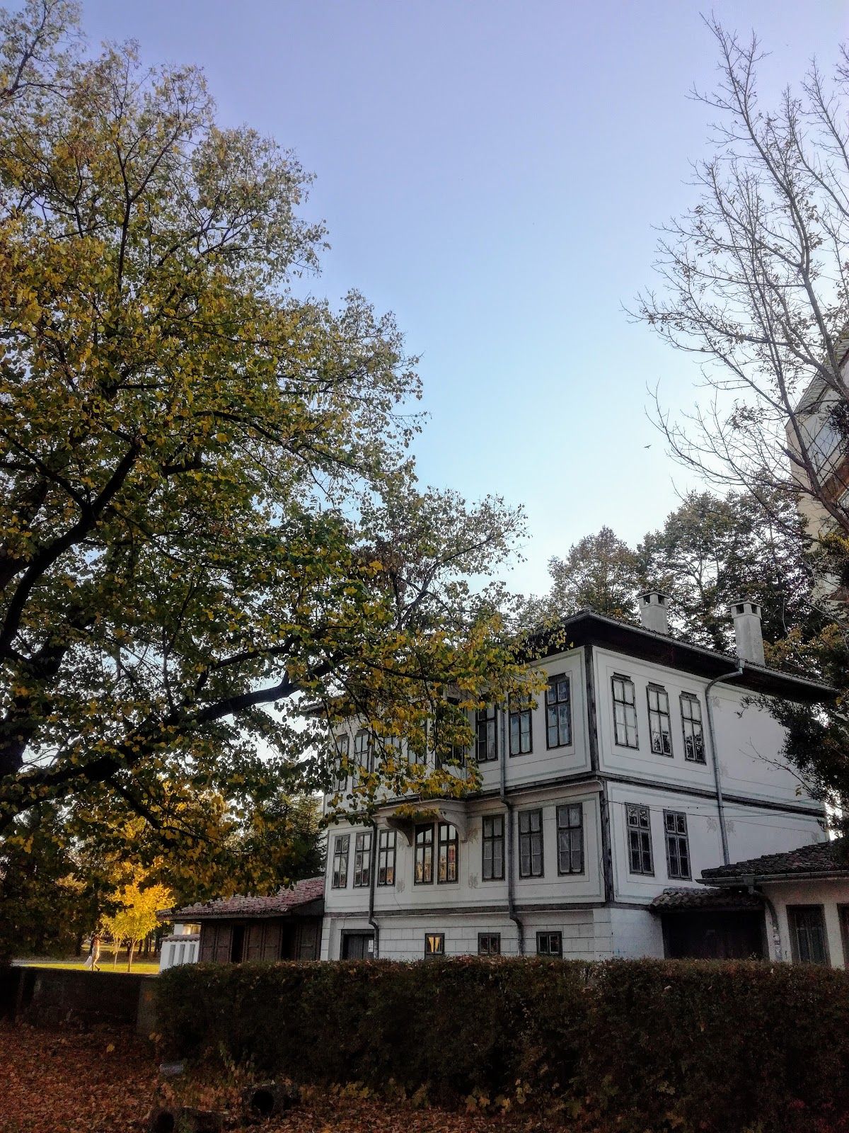 Sveshtarov House – photo 3