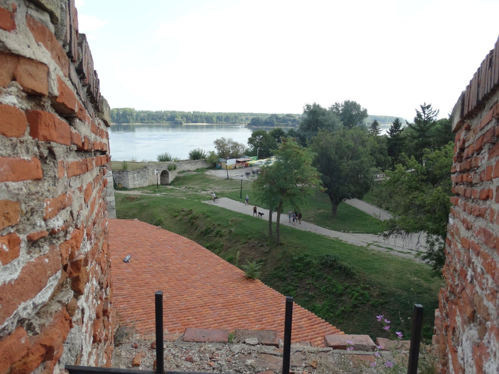 Топ капия – снимка 2
