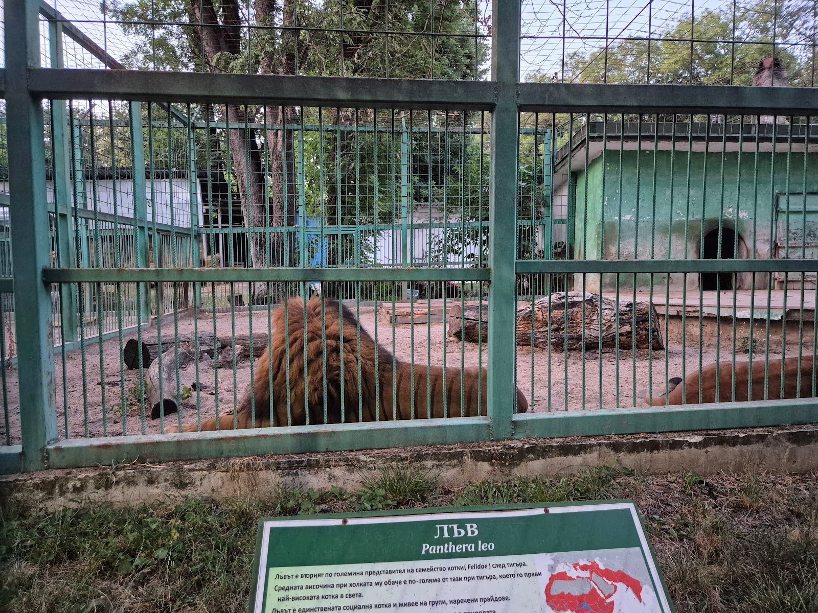 Zoo