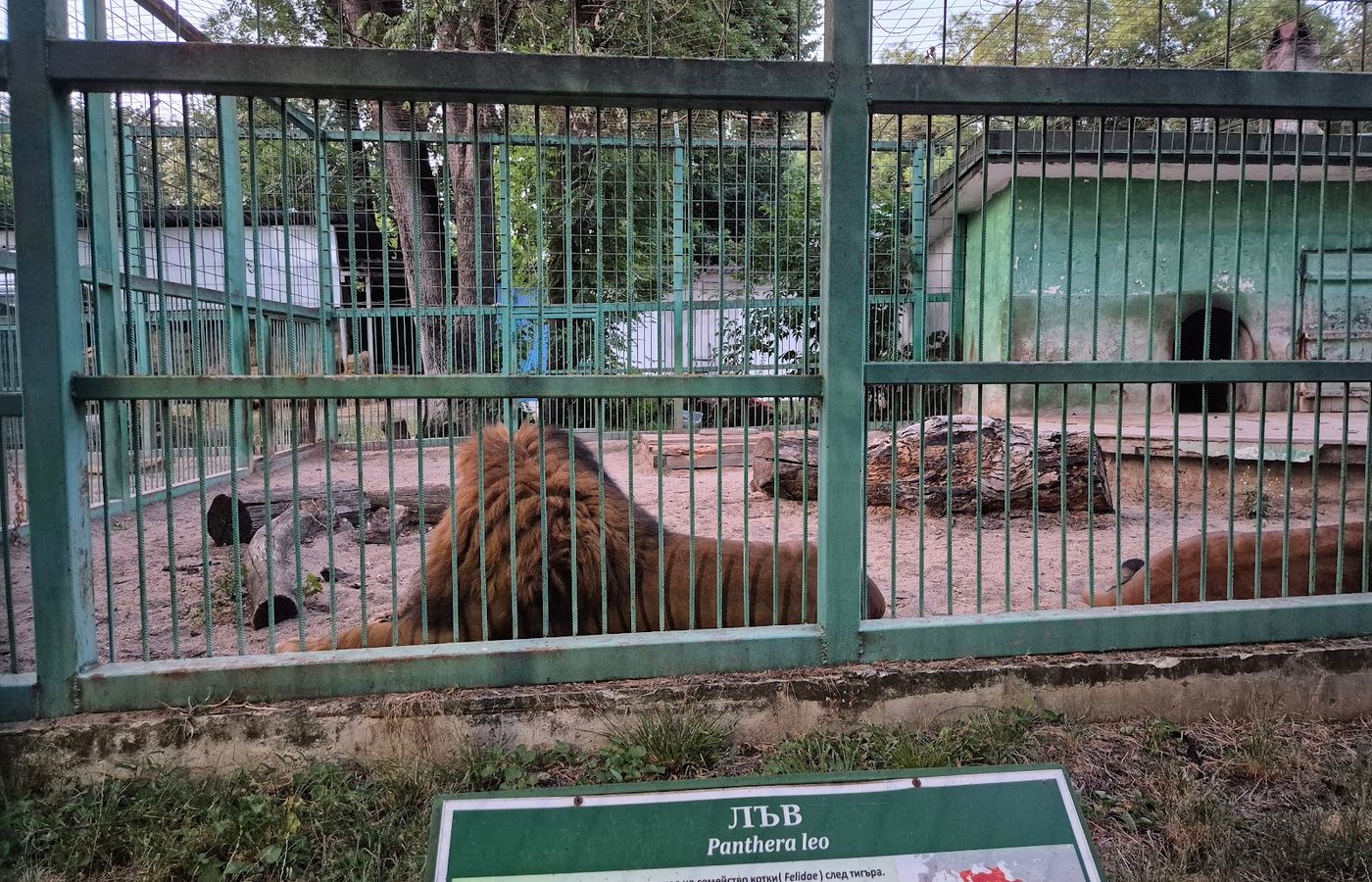 Zoo – photo 1