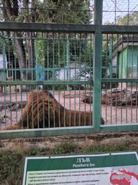 Zoo
